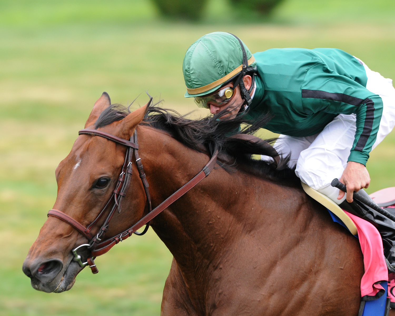 Gio Ponti - Eclipse Awards