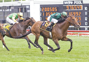Gio Ponti