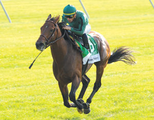 Gio Ponti