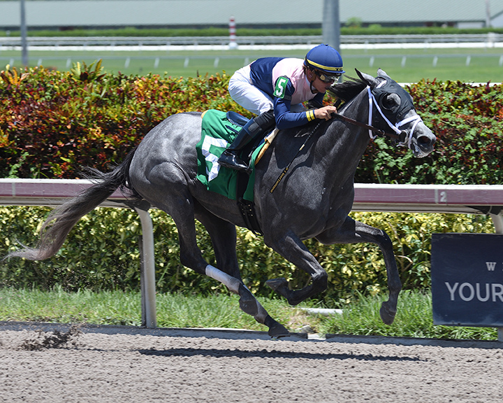 Gioielli wins a July 15, 2018, maiden race