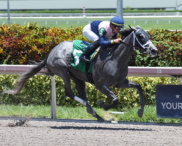 Gioielli wins a July 15, 2018, maiden race at Gulfstream Park
