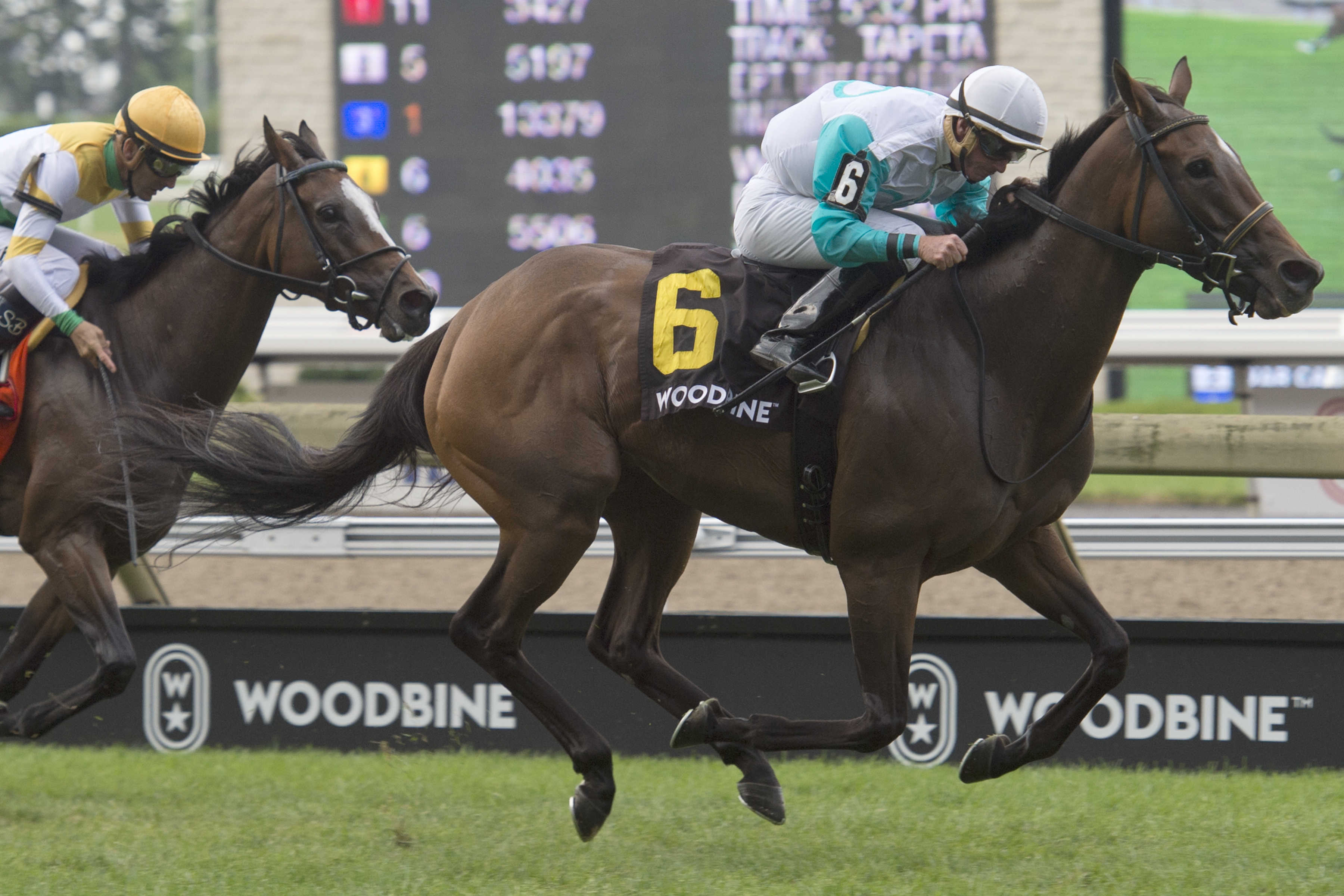 Giovanna Blues wins the 2019 Flaming Page Stakes