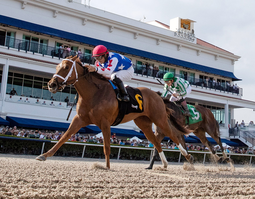 Girl with a Dream wins the 2022 Forward Gal Stakes at Gulfstream Park