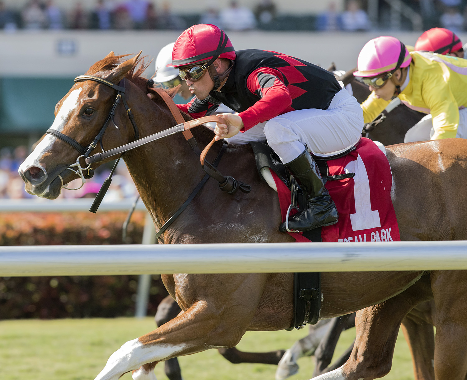 Girls Know Best wins the 2018 Ladies Turf Sprint Stakes