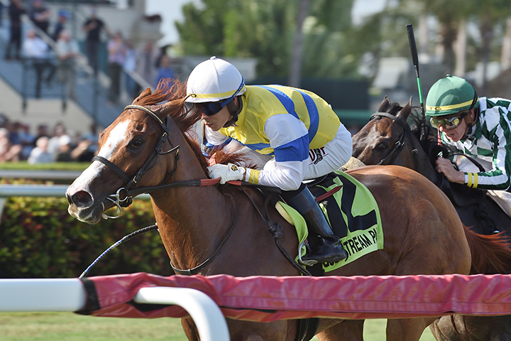 Girls Know Best wins the 2018 Abundantia Stakes