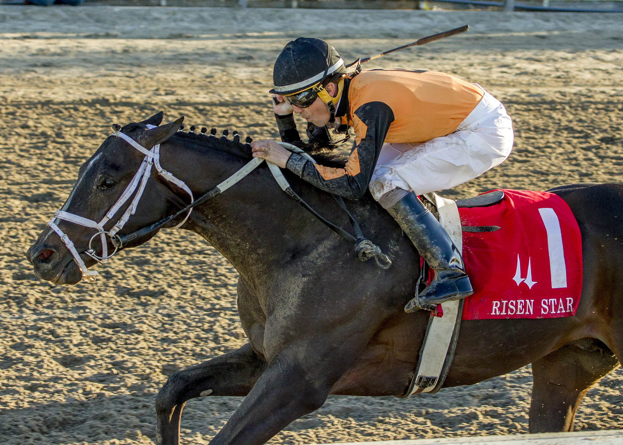 Girvin wins the Risen Star