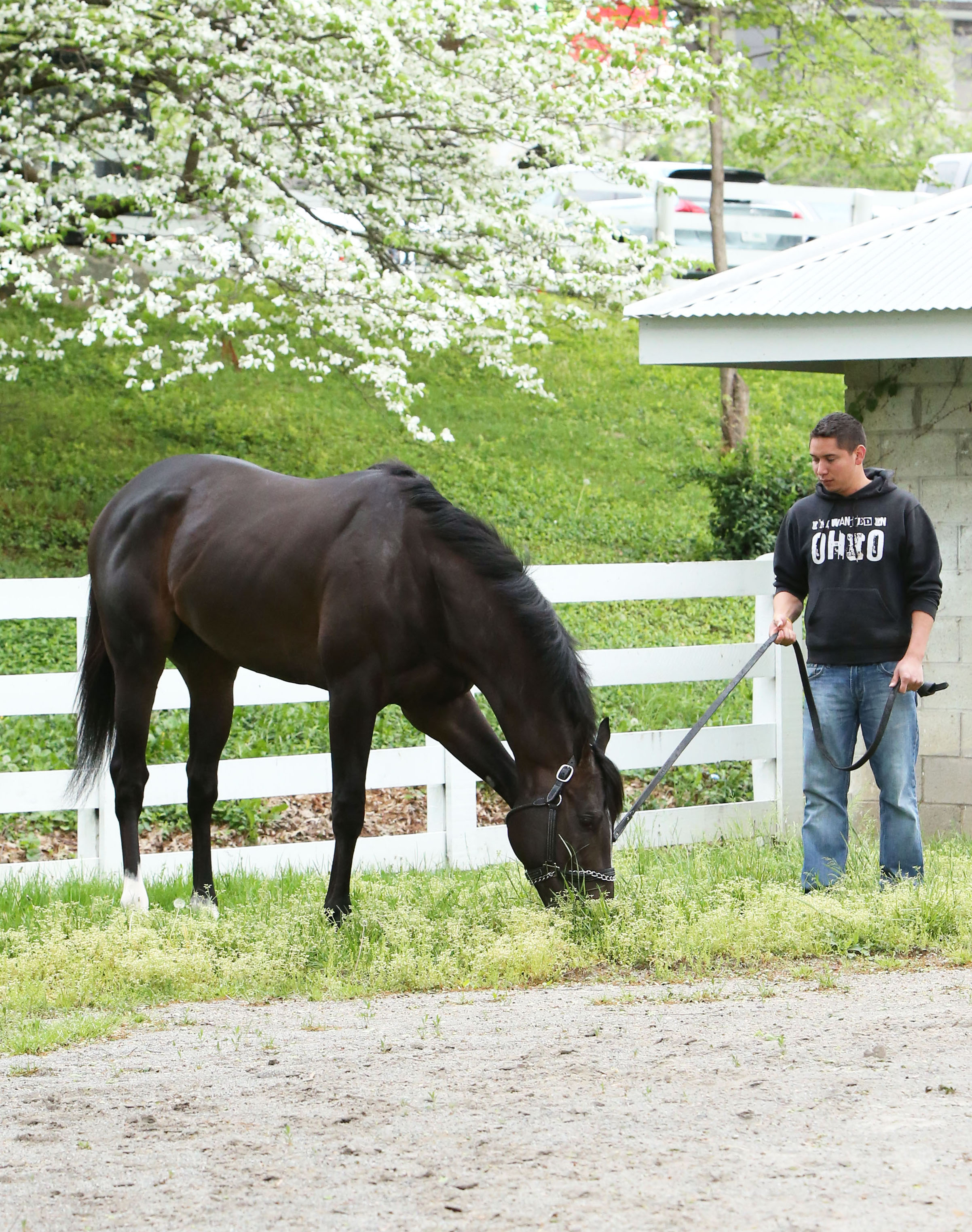 Girvin at Keeneland on April 24