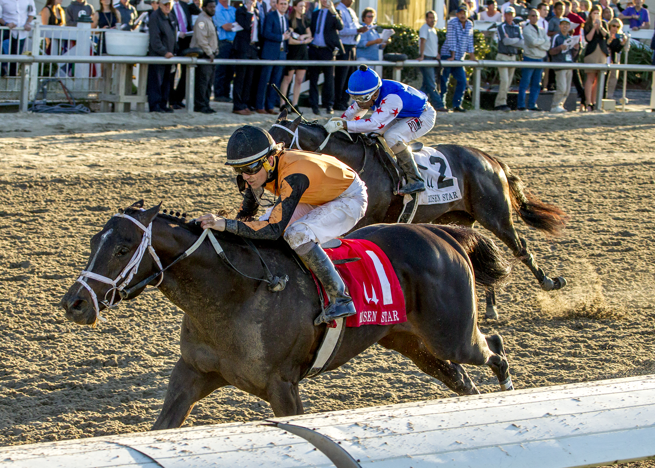 Girvin wins the Risen Star