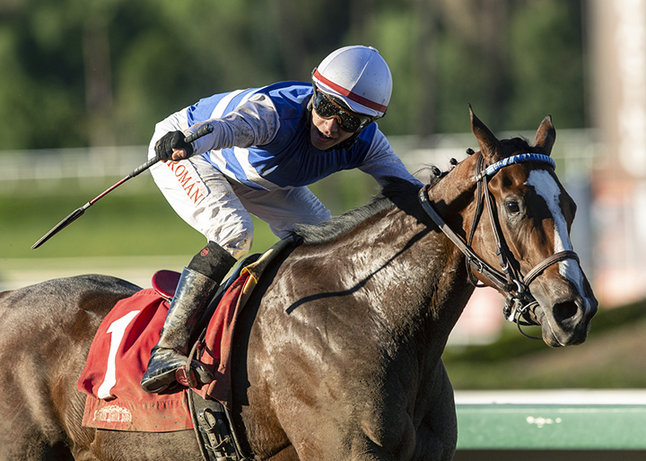 Give Me a Hint wins the 2018 Golden State Juvenile Fillies