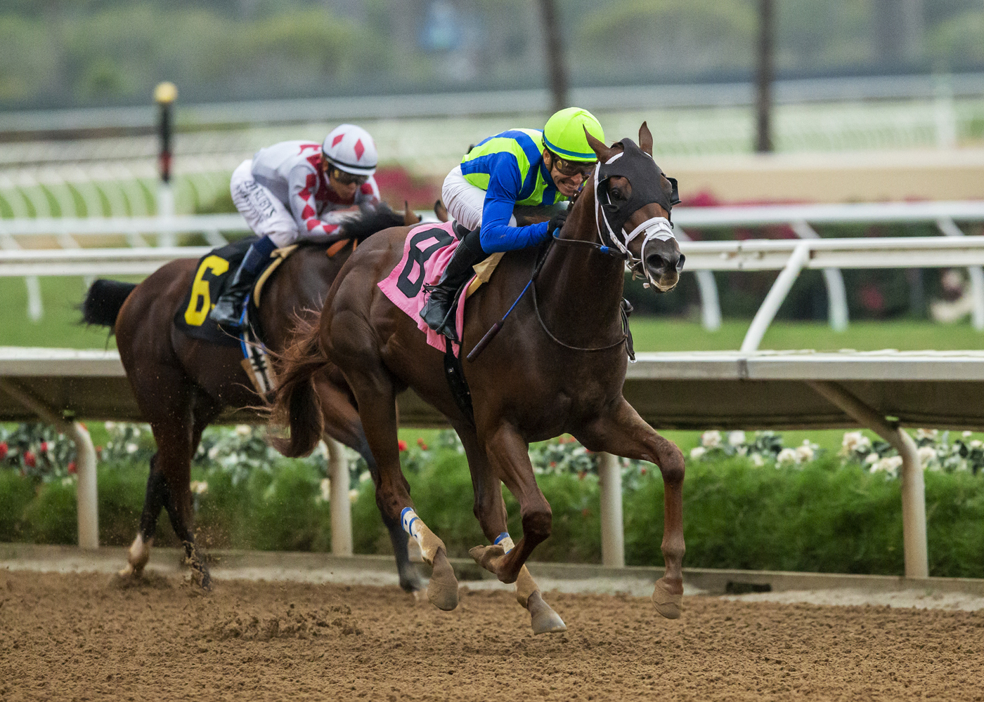 Giver Not a Taker wins the I'm Smokin at Del Mar Sept 9 2022