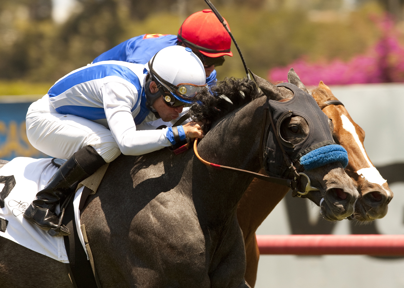Givine 5-29-2011