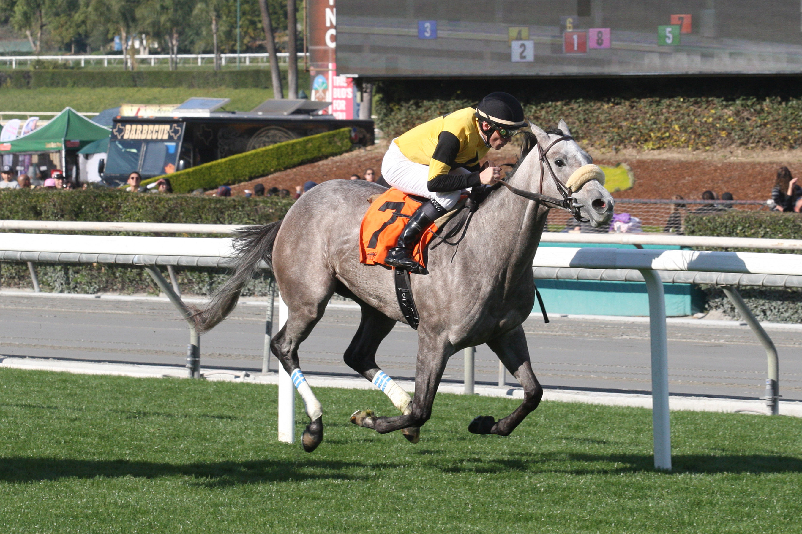 Giza Goddess wins 2018 Blue Norther Stakes (Shig)
