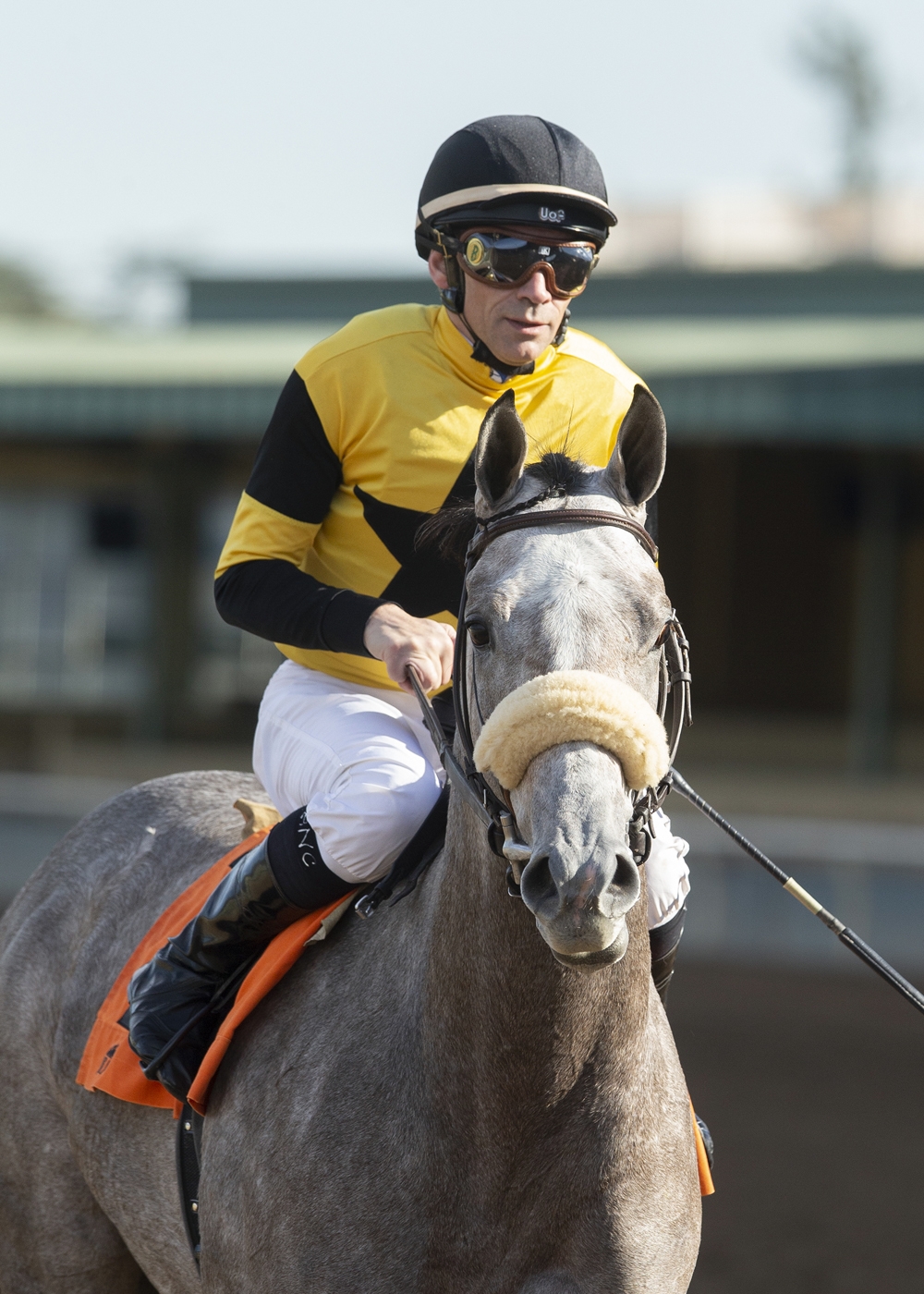 Giza Goddess after the 2018 Blue Norther Stakes