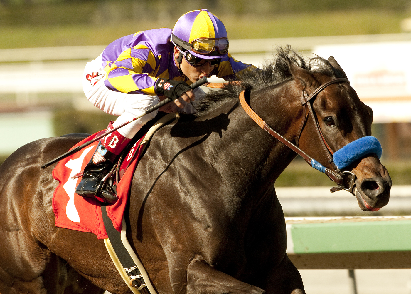 Gladding wins San Antonio
