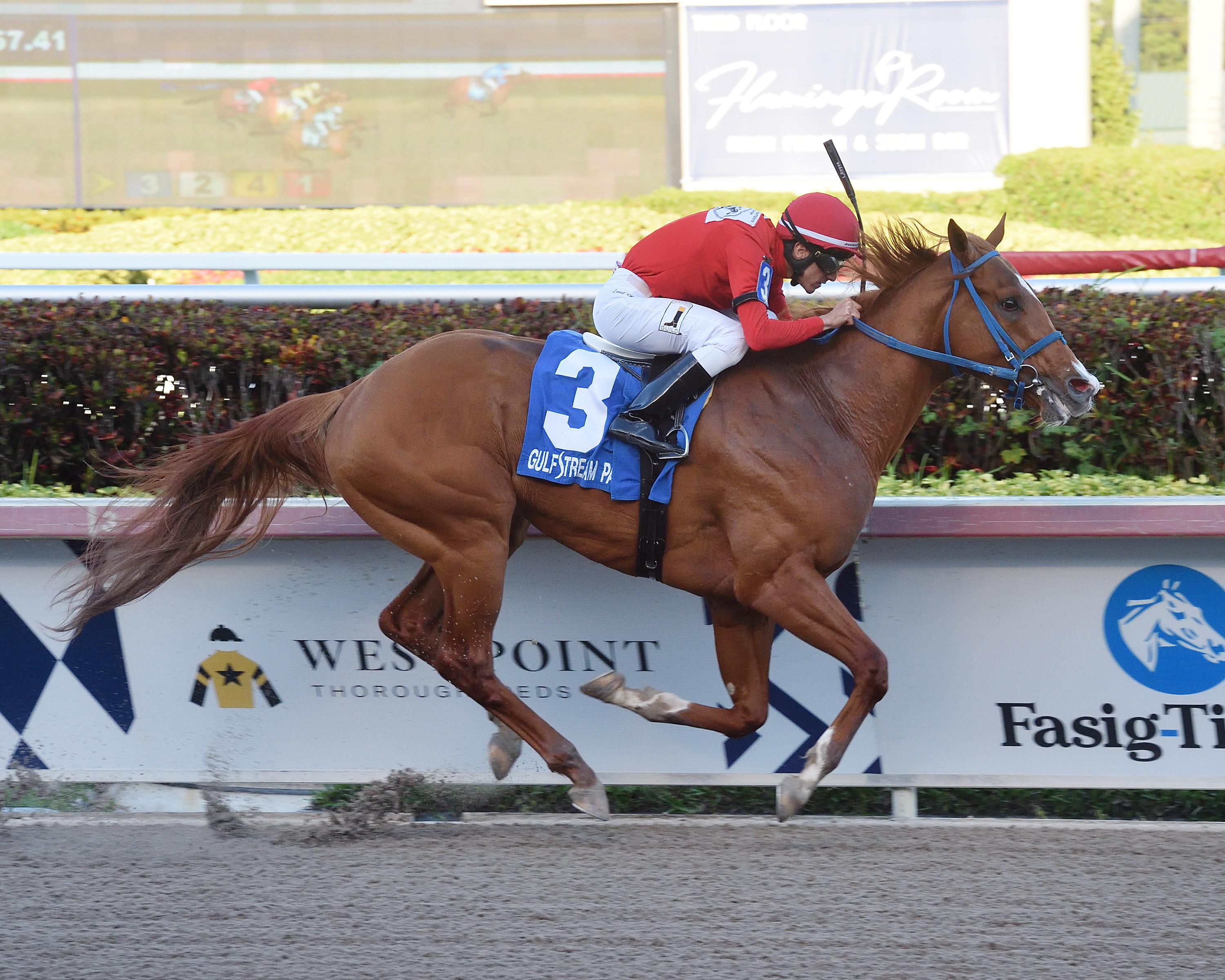 Gladiator King wins 2019 Hutcheson Stakes