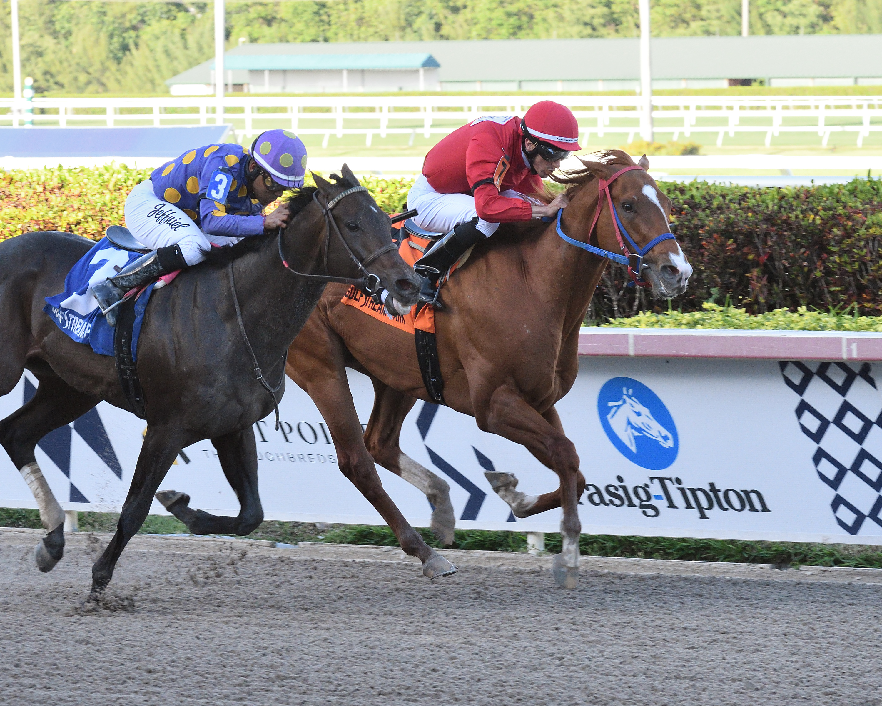 Gladiator King (right) wins the 2019 Roar Stakes