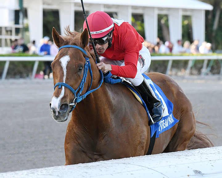 Gladiator King wins the 2019 Hutcheson Stakes