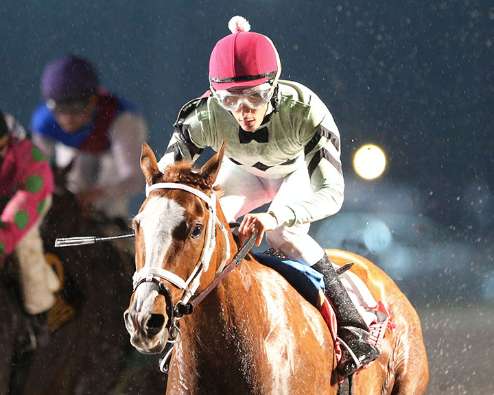 Gladyousawme wins the 2018 Louisiana Premier Night Prince Stakes