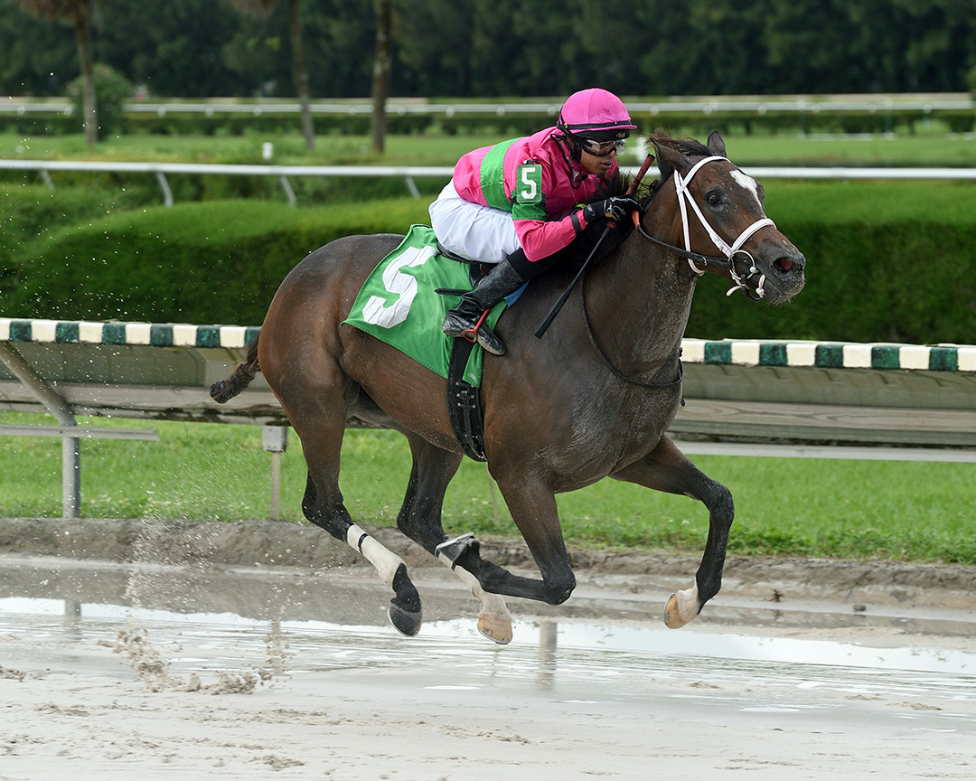 Gladys wins an Oct. 25 maiden race at Gulfstream Park West