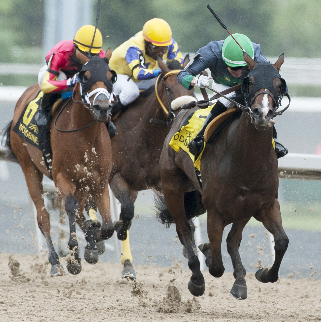 Glamanation wins the Shady Well Stakes