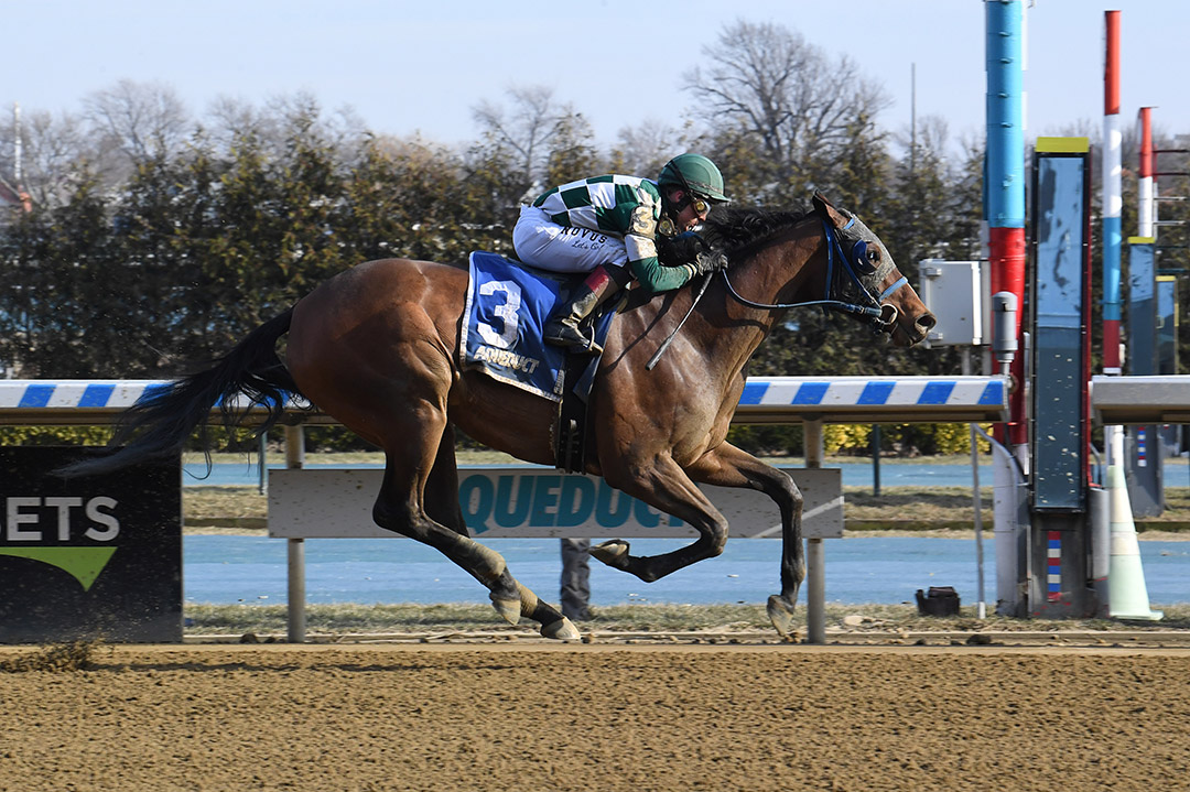 Glass Ceiling wins a Jan. 23 allowance at Aqueduct Racetrack