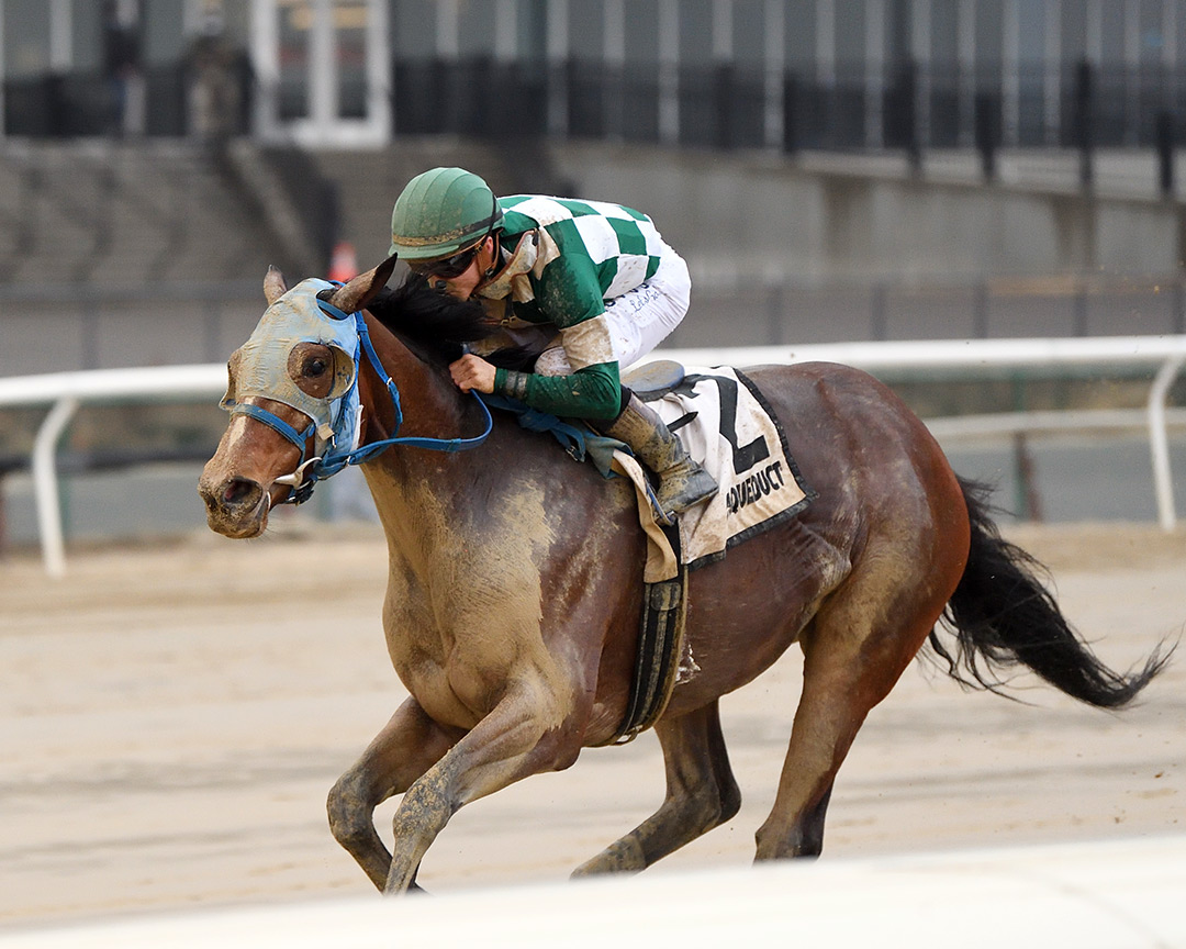 Glass Ceiling wins the 2021 Garland of Roses Stakes at Aqueduct