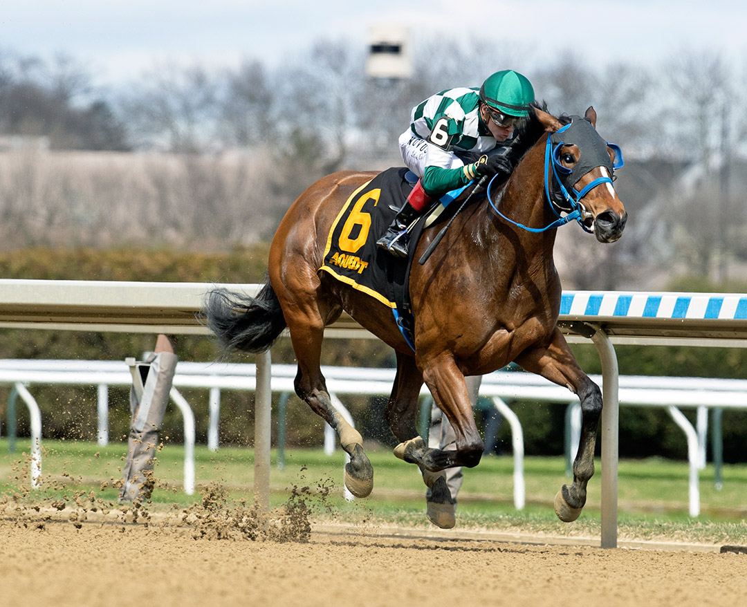 Glass Ceiling wins the 2022 Distaff Handicap at Aqueduct