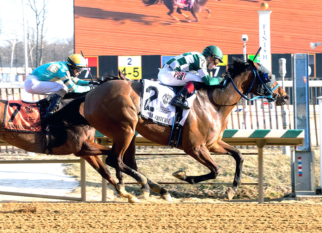 Glass Ceiling wins the 2022 Barbara Fritchie Stakes at Laurel Park