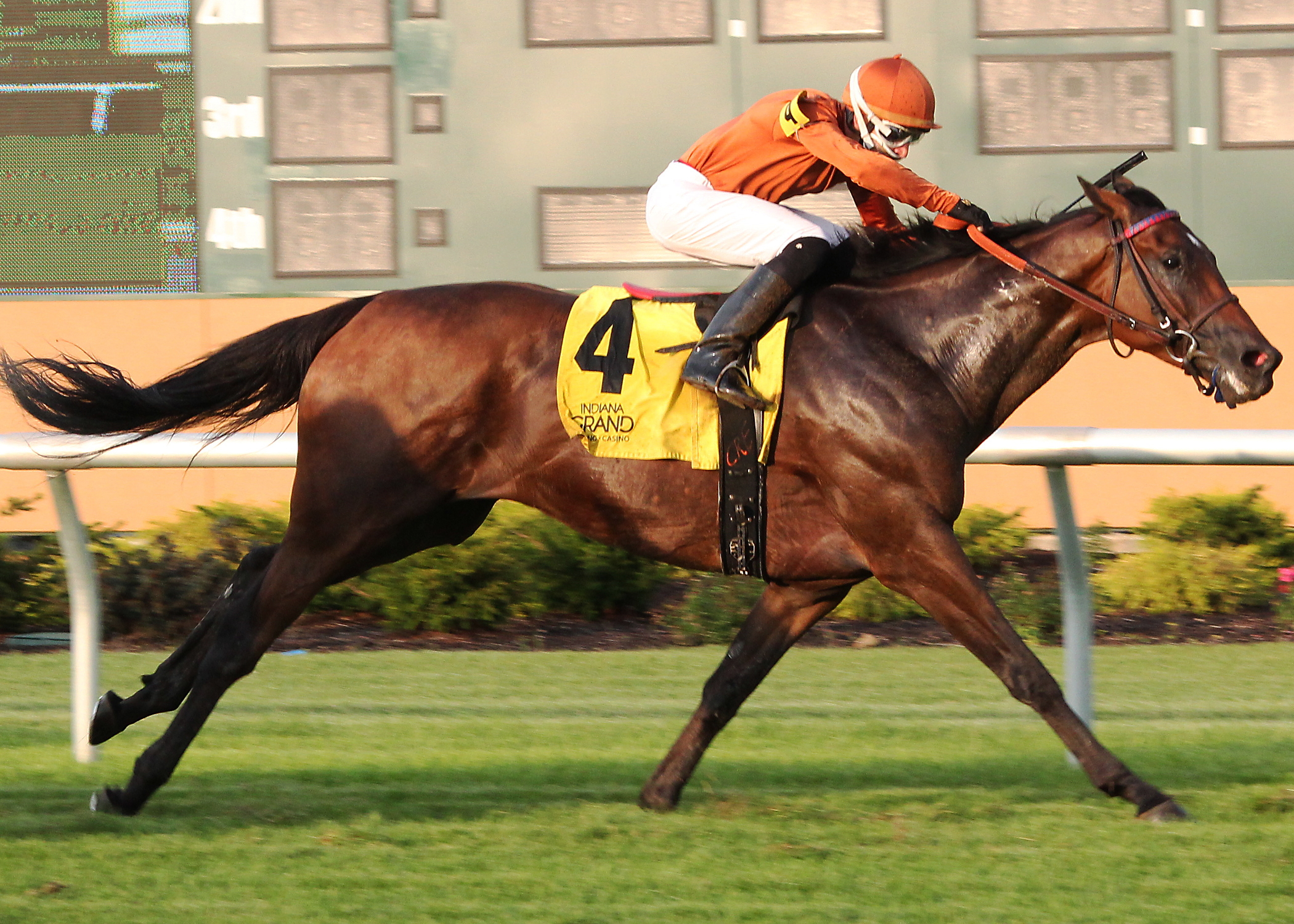 Glenard wins the Warrior Veterans Stakes