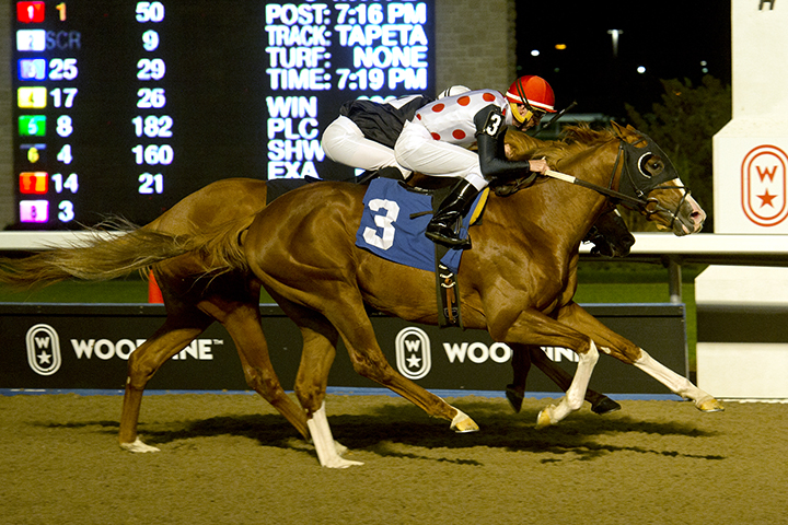 Global Access wins an Oct. 31 maiden race