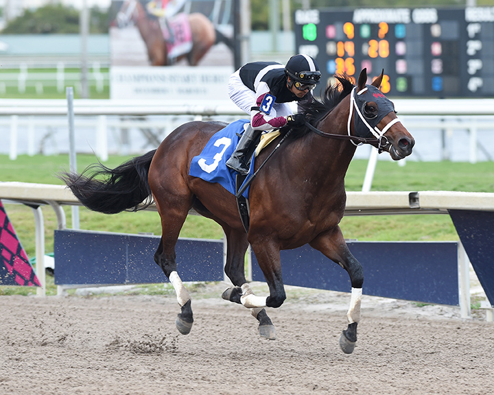 Global Campaign wins a Feb. 9 allowance