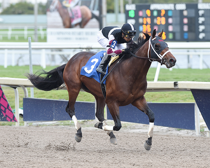 Global Campaign wins a Feb. 9 allowance