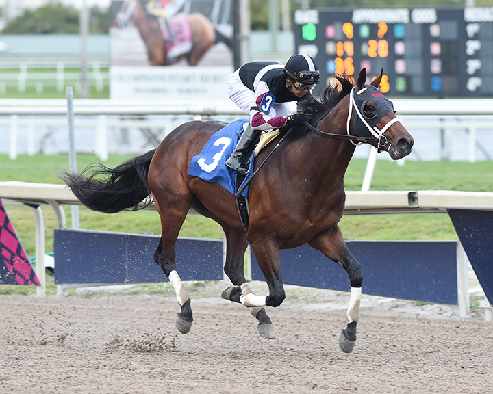 Global Campaign wins a Feb. 9 allowance