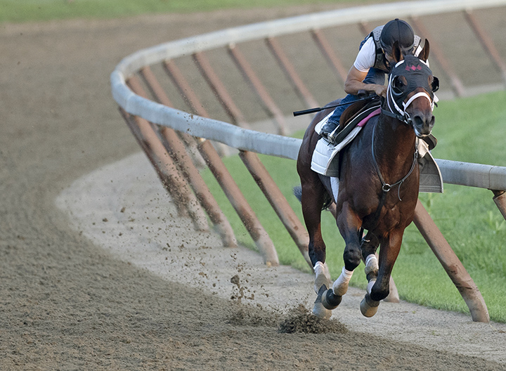 Global Campaign trains at Saratoga Race Course on July 20