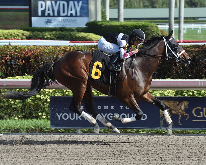 Global Campaign wins his career debut on Jan. 5
