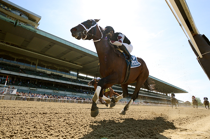 Global Campaign wins the 2019 Peter Pan Stakes
