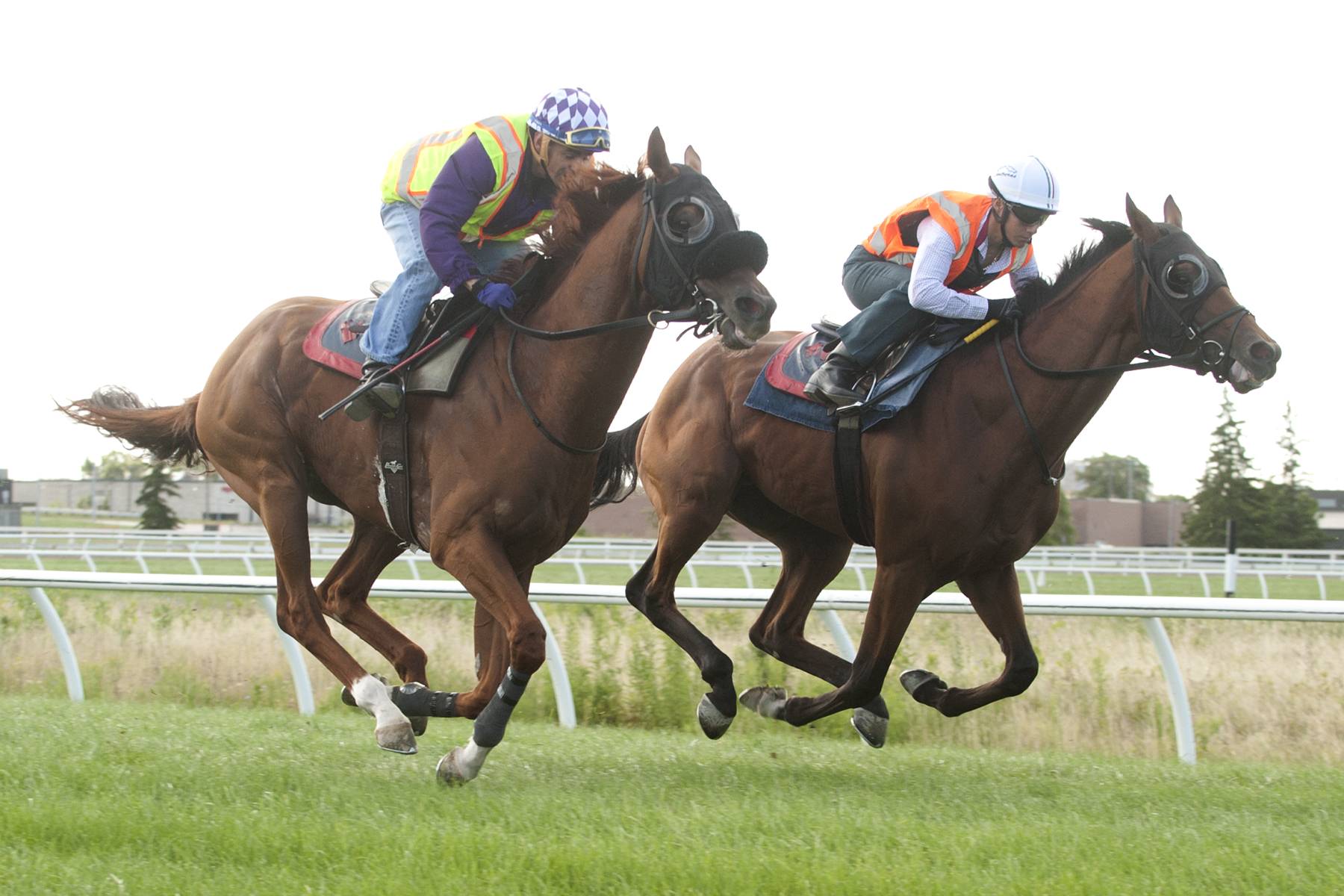 Global Express trains at Woodbine