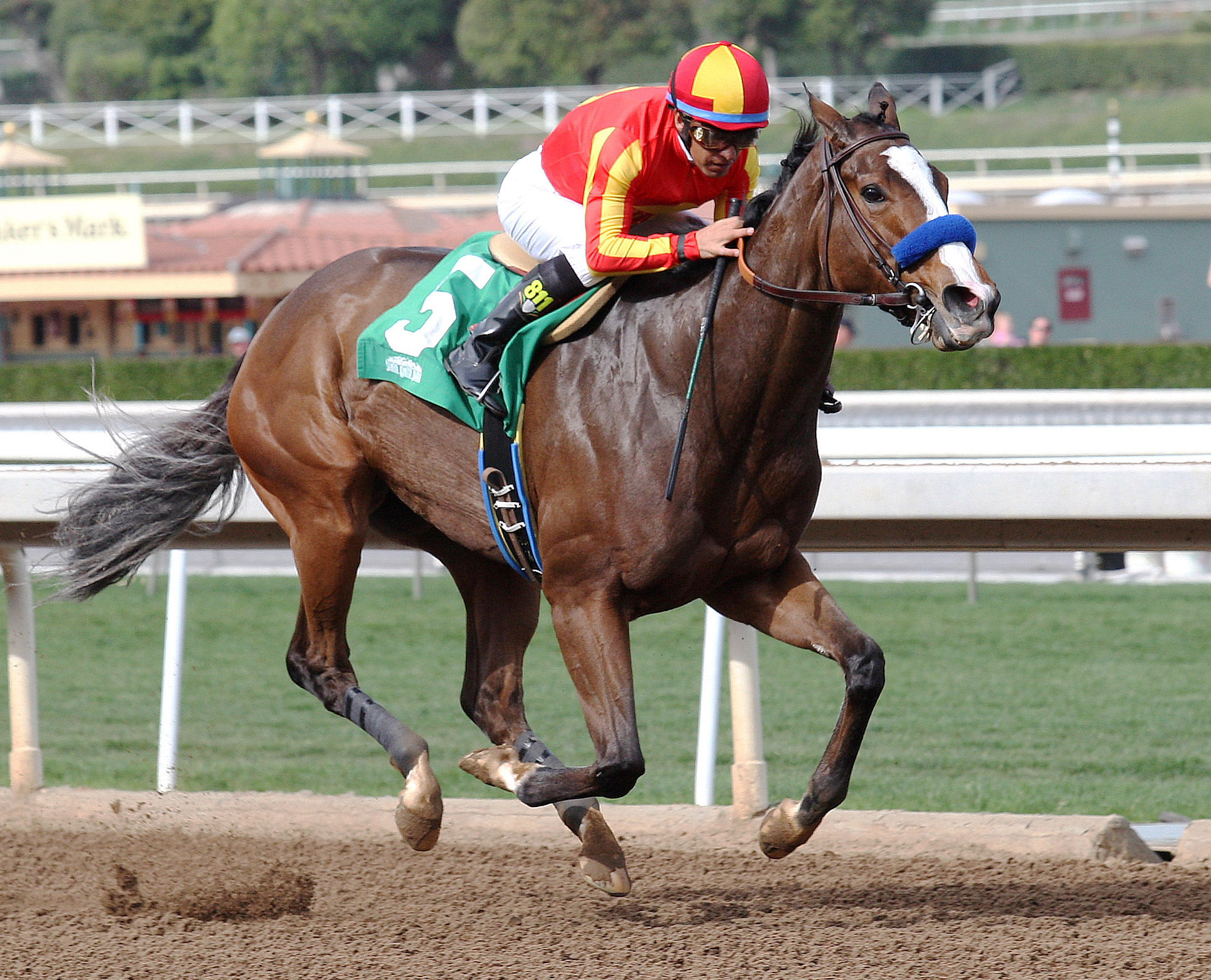 Global Hottie wins an allowance race