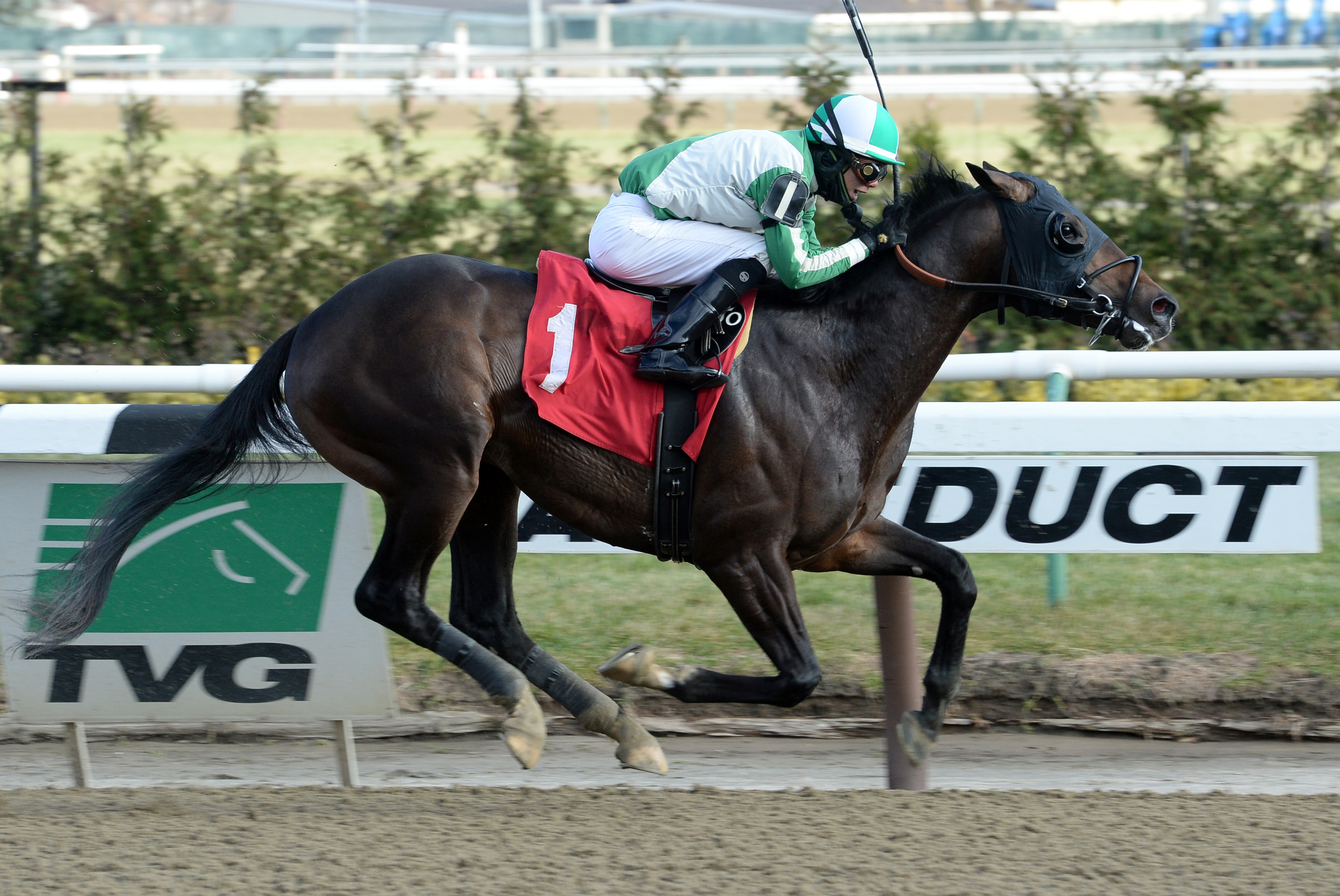Global Positioning wins a maiden race