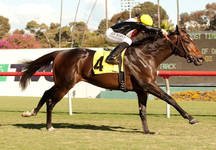 Global View, Generous Stakes