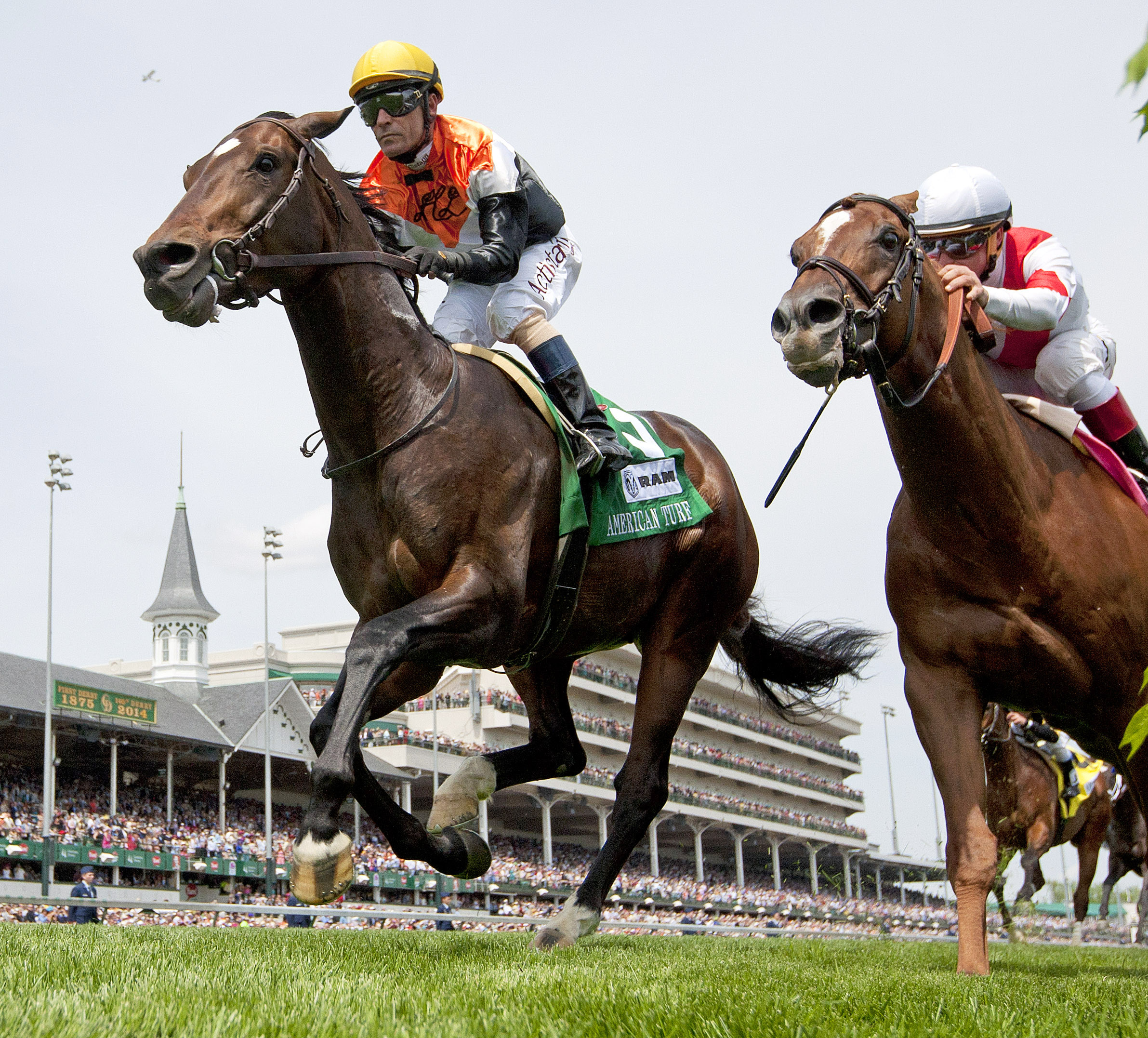 Global View wins the American Turf Stakes