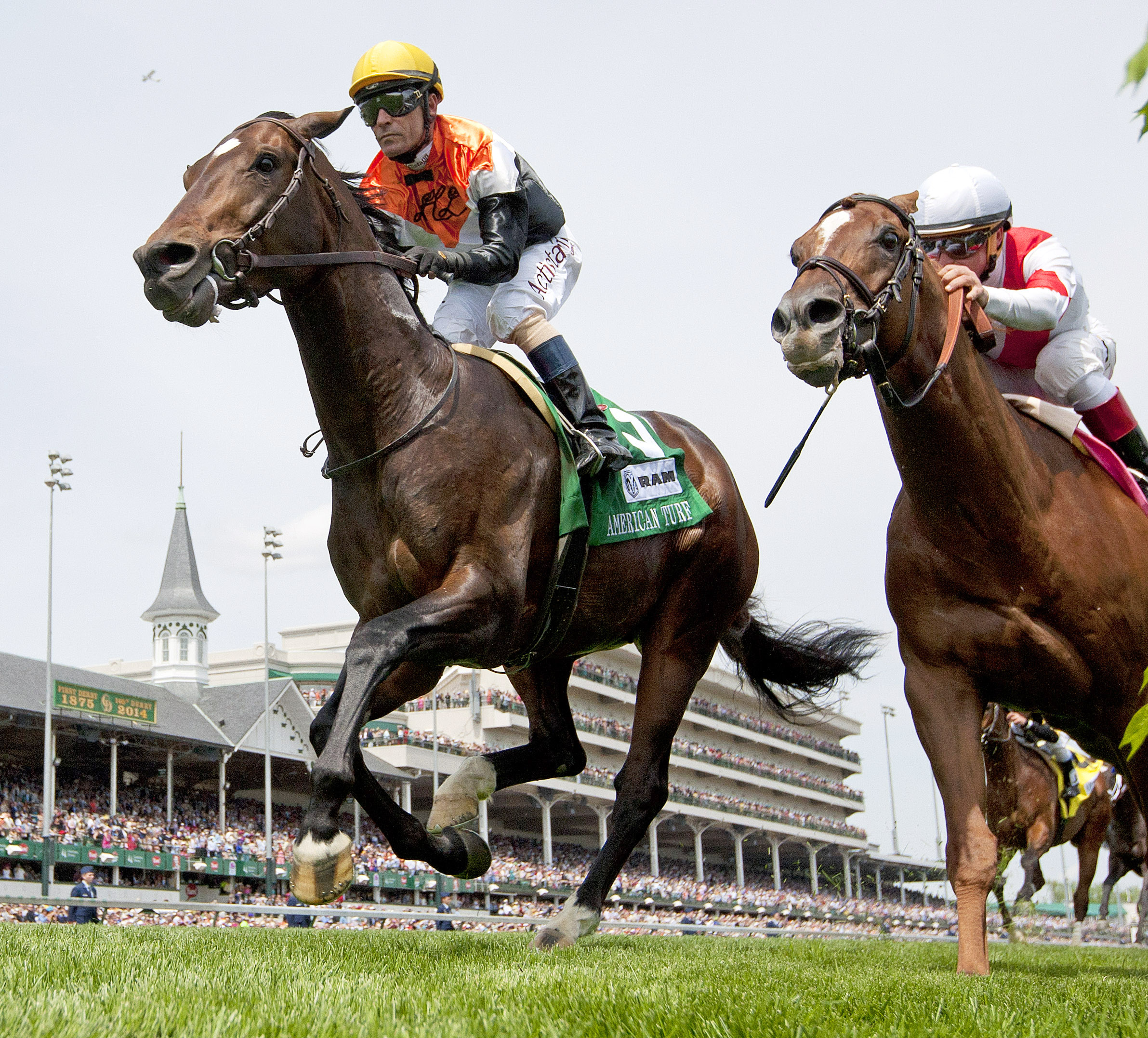 Global View wins the American Turf Stakes