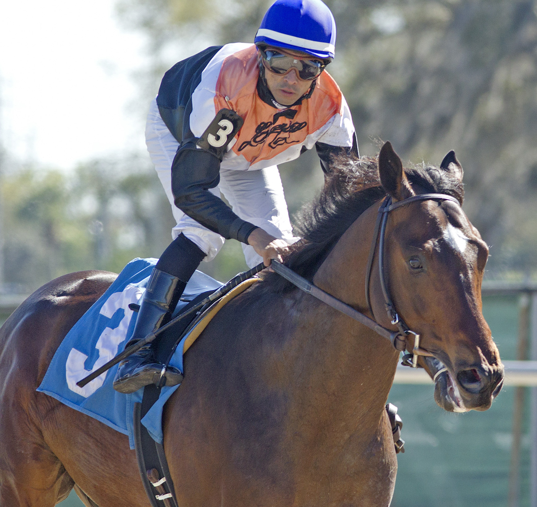 Global View finishes second in an allowance