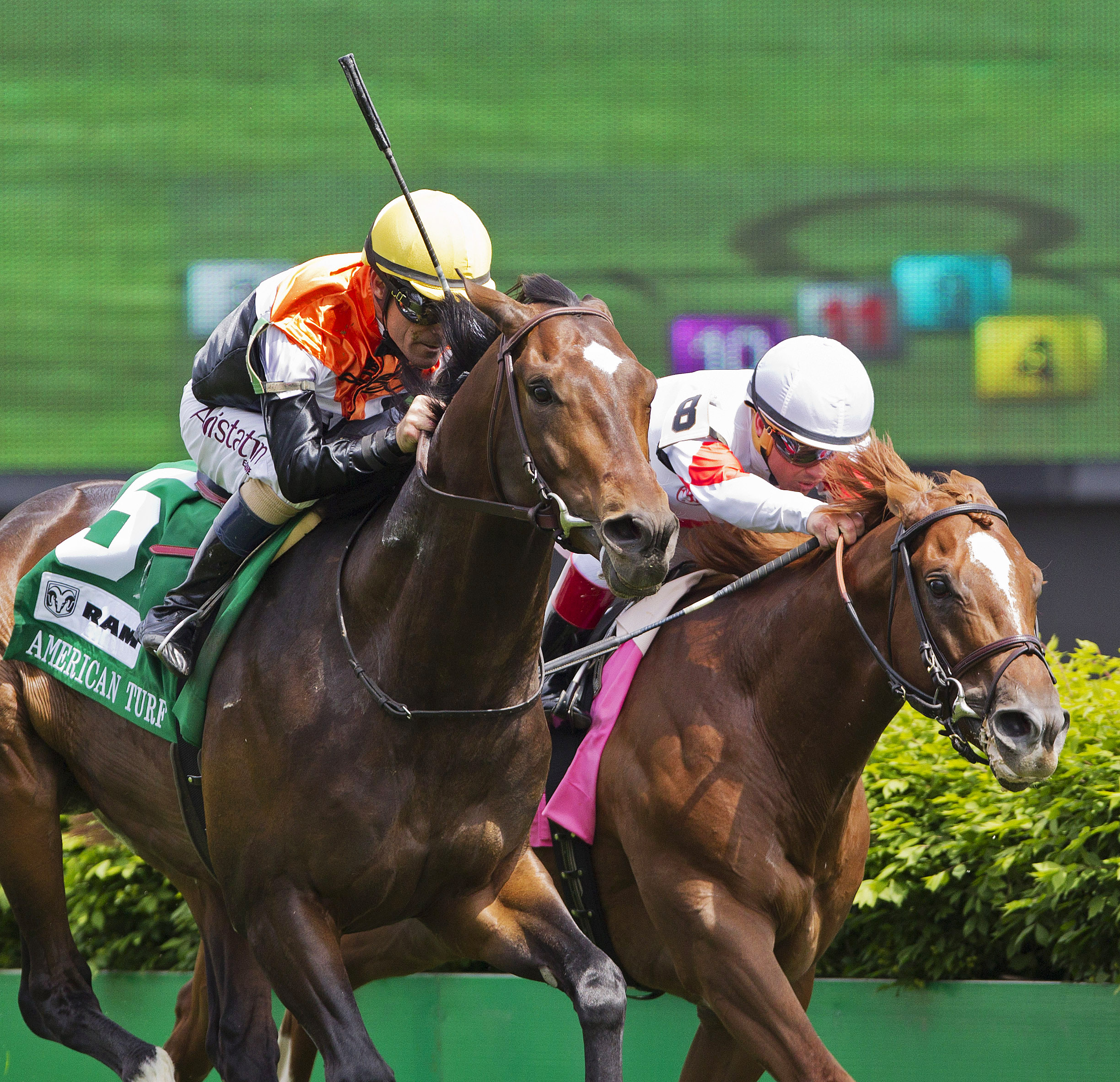 Global View beats Storming Inti in the American Turf