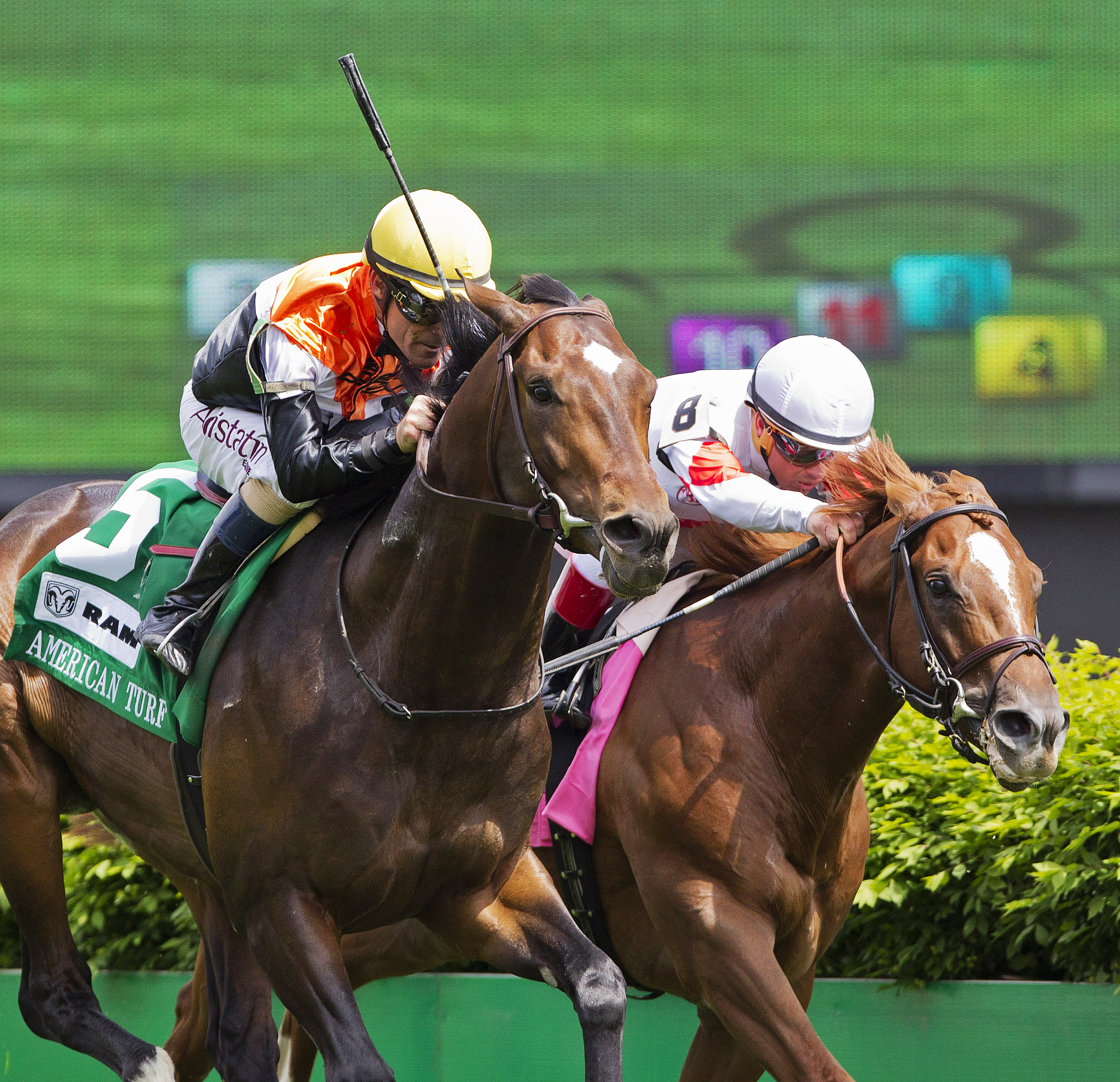Global View wins the American Turf Stakes