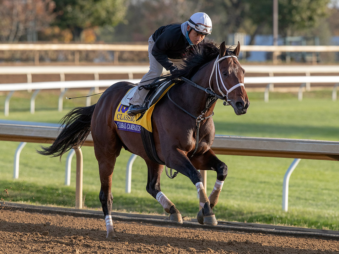 Global Campaign trains at Keeneland Racecourse on Nov. 5