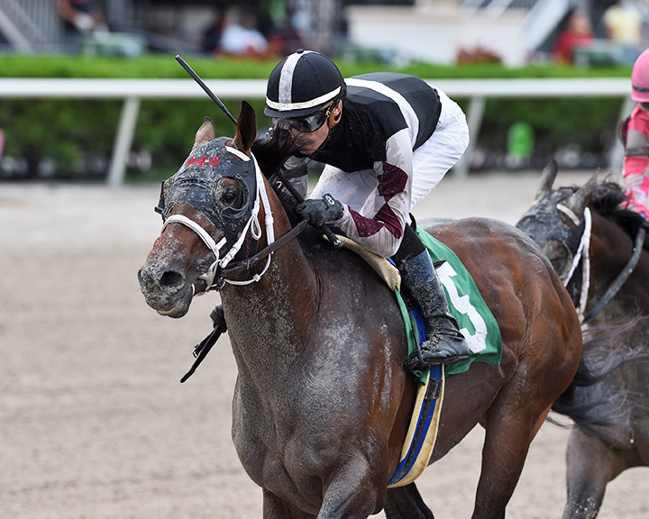 Global Campaign wins an April 25 allowance at Gulfstream Park