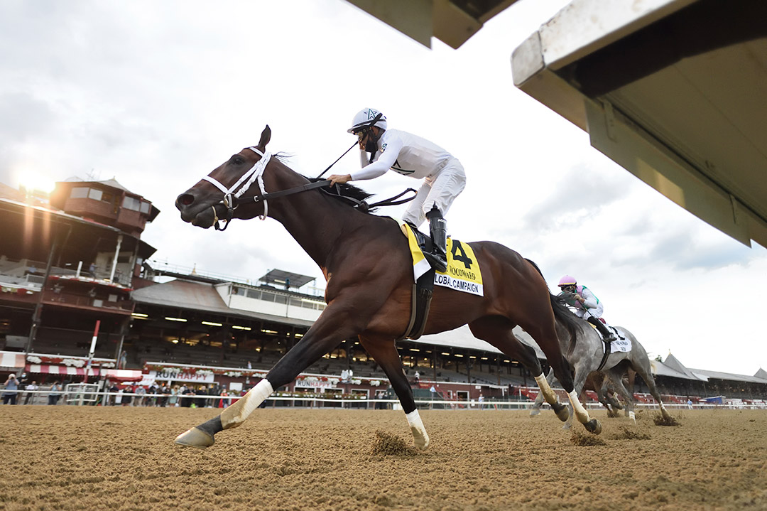 Global Campaign wins the 2020 Woodward Stakes at Saratoga Race Course