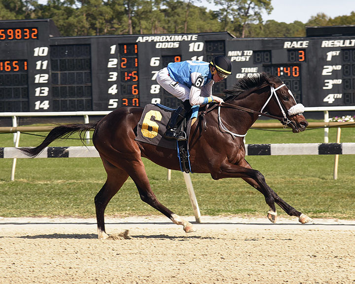Global Dinner wins a Jan. 26 maiden race at Tampa Bay Downs