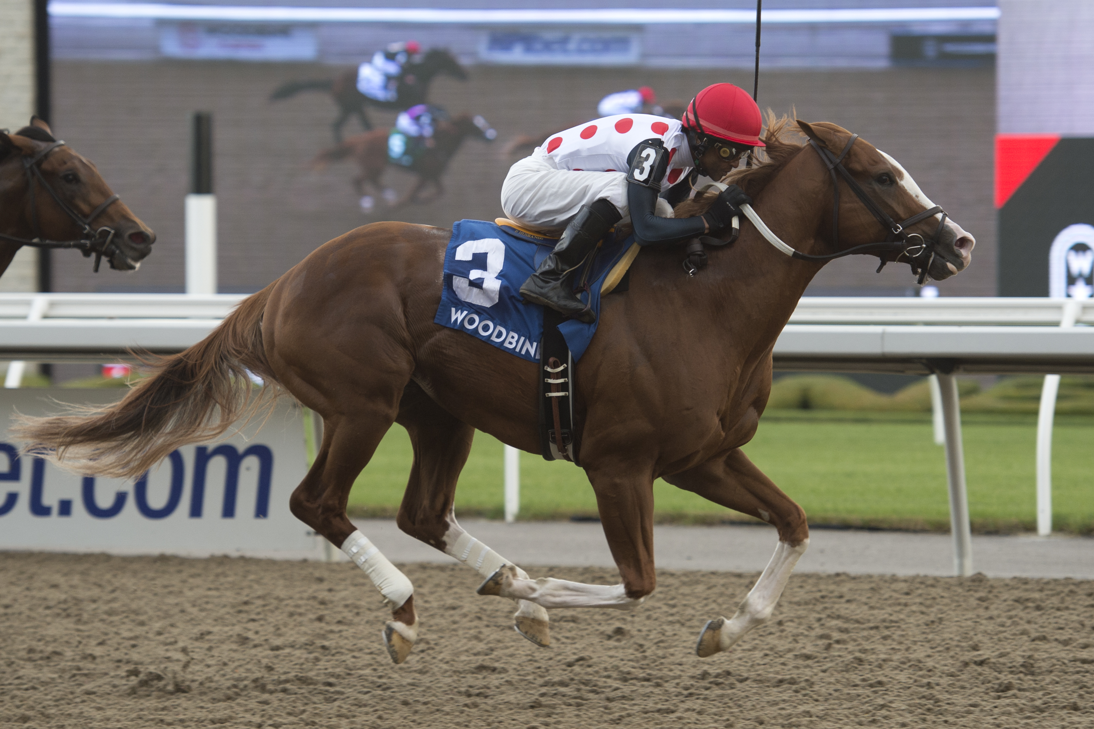 Global Access wins the 2019 Ontario Derby
